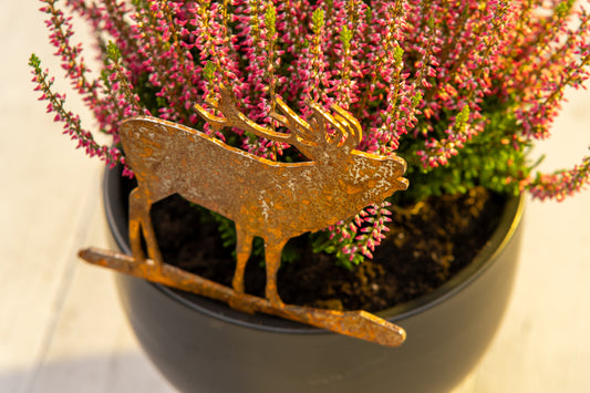 Beetstecker Rothirsch Cortenstahl