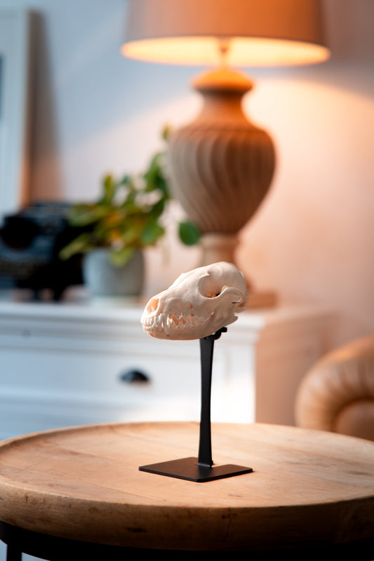 Trophäenständer Fuchs – Slim Edition