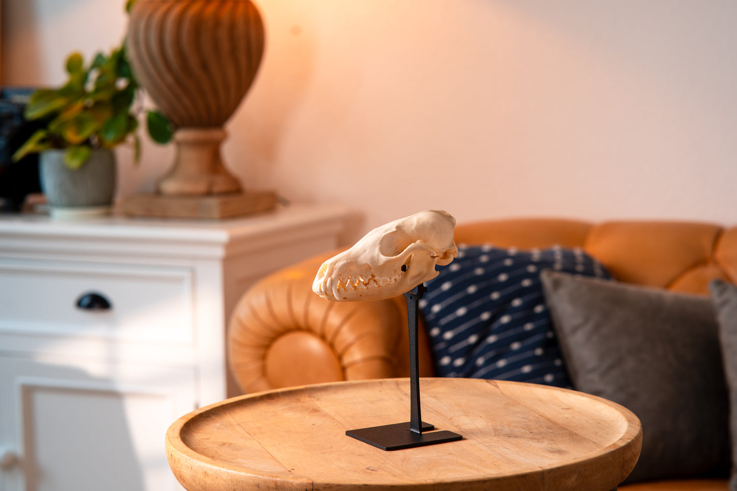 Trophäenständer Fuchs – Slim Edition