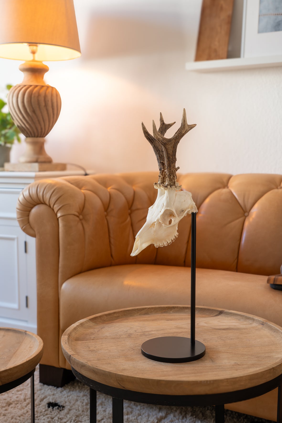 Trophäenständer "Rehwild" Classic Round