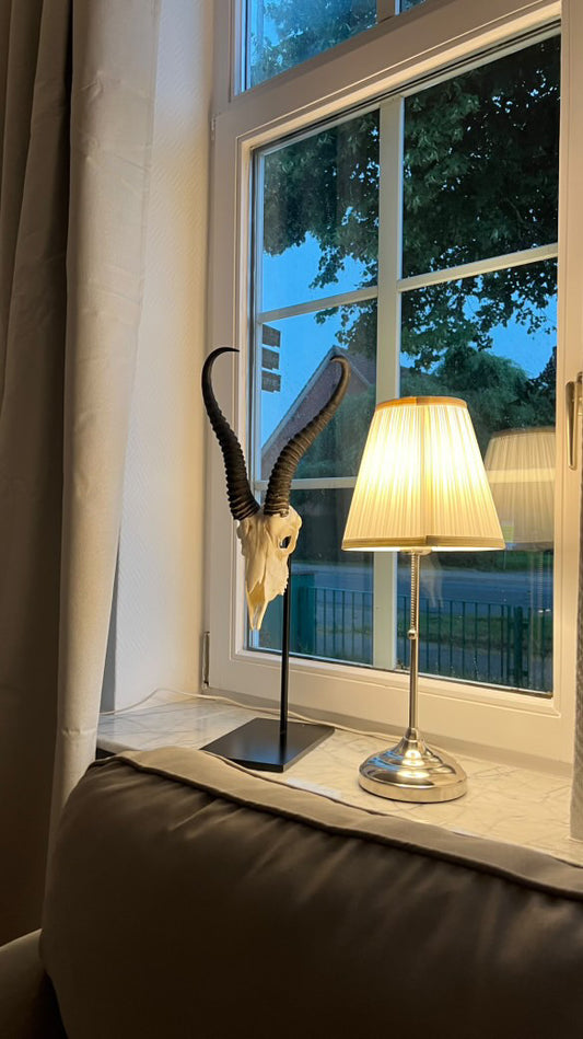 Trophäenständer Springbock