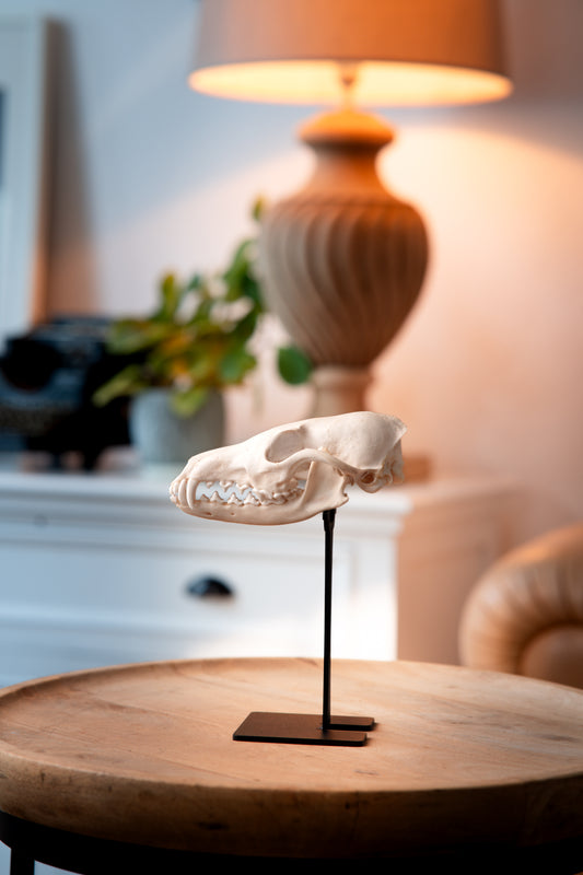 Trophäenständer Fuchs – Slim Edition